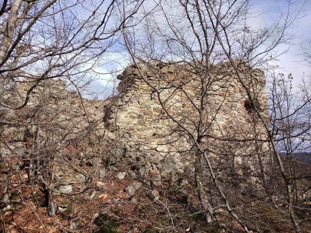 Бранич кула тврђаве Бован. Аутор и власник фотографије је Александар Ристић.