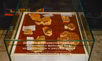 Фрагменти фресака из цркве са локалитета Дворине на Венчацу изложени у Народном музеју у Аранђеловцу. Аутор и власник фотографије је Невена Јевтић.