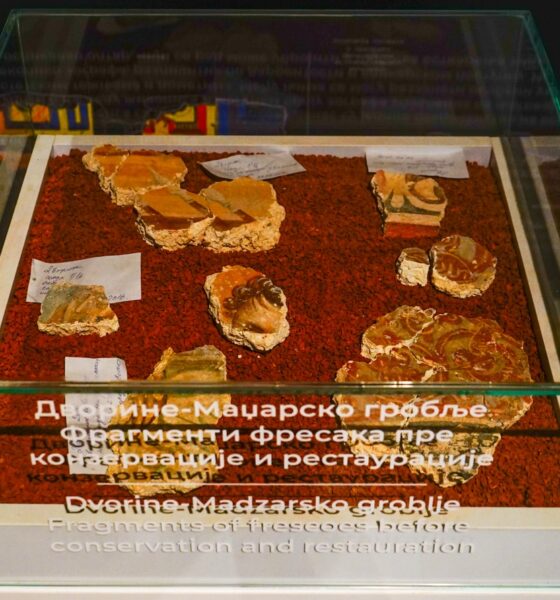 Фрагменти фресака из цркве са локалитета Дворине на Венчацу изложени у Народном музеју у Аранђеловцу. Аутор и власник фотографије је Невена Јевтић.